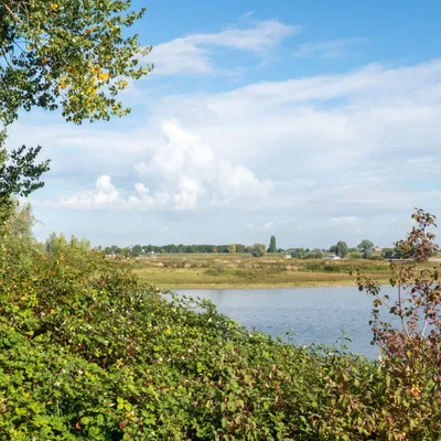 19E49AB9 470C 45F6 A080 E0C1622E3793