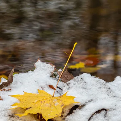 2 Inge Pfeil Hemelseberg 2