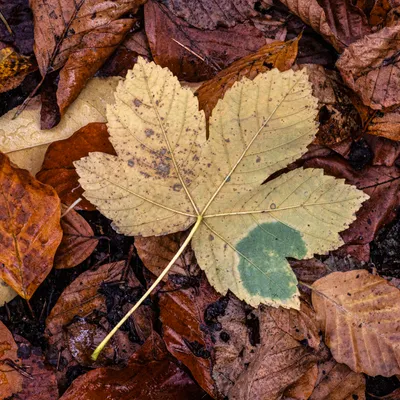 2 Inge Pfeil Hemelseberg 4