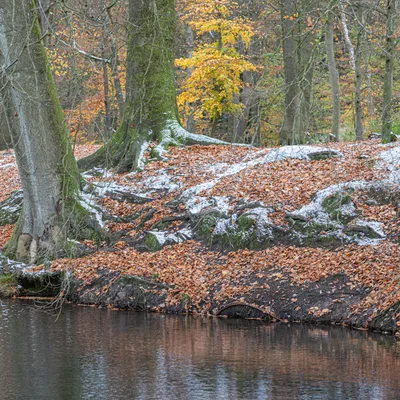 2 Inge Pfeil Hemelseberg 5