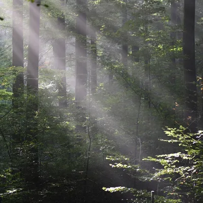 2016 10 23okt De Zelfontspanners 001