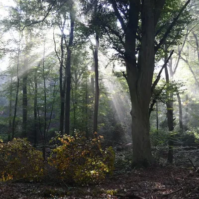 2016 10 23okt De Zelfontspanners 003