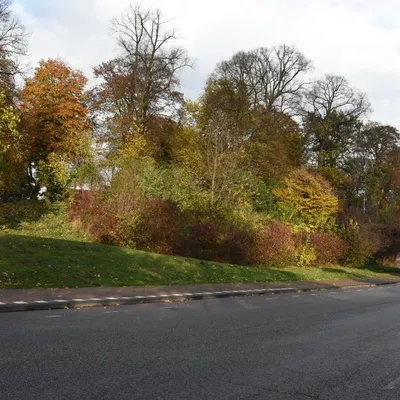 2016 11 05nov foto workshop 012