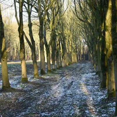 2017 01 21jan FotoRoos workshop 001