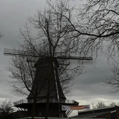 2017 02 04feb FotoRoos workshop 001