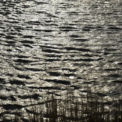 2017 04 15apr Eeemnes Eemland wandeling 007