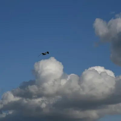 2017 04 15apr Eeemnes Eemland wandeling 013