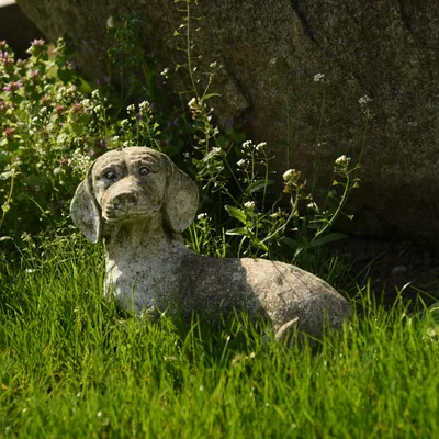 2017 04 Nijmegen Driehuizerweg pub01 017a