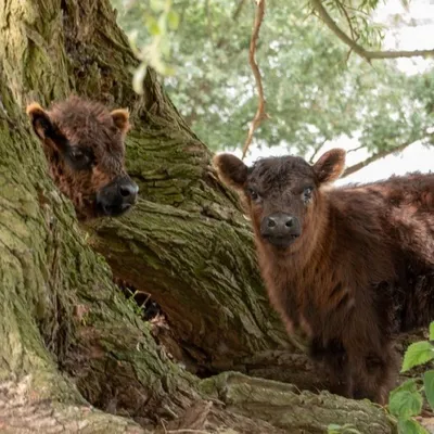 20180527 IMG 0095 Kopie
