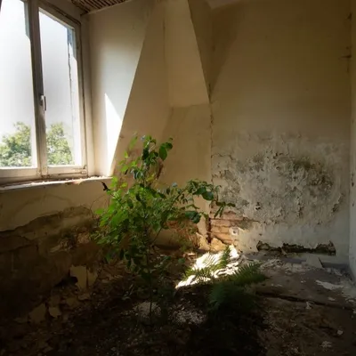 20180630 IMG 0062 bewerkt Kopie