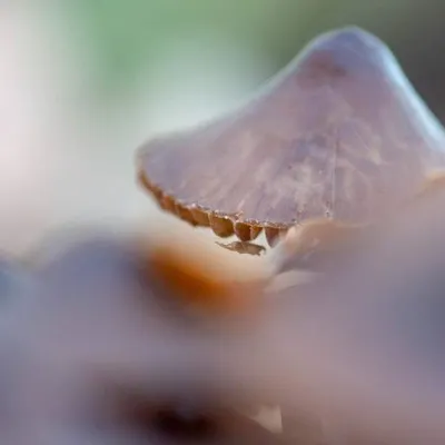 20181118 img 0401 kopie