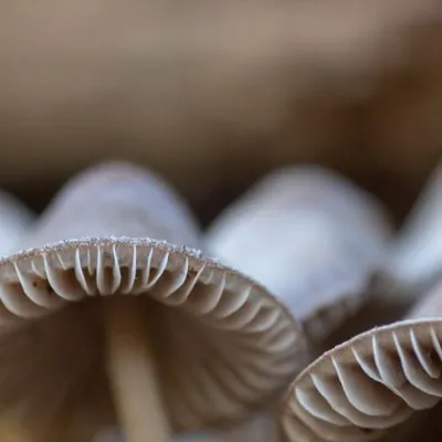 20181118 img 0415 kopie