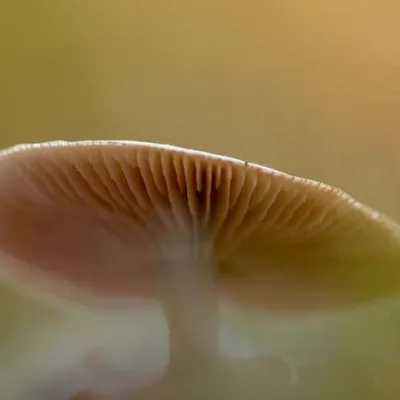 20181118 img 0435 kopie