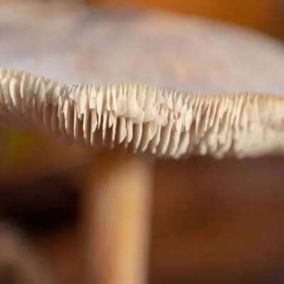 20181118 IMG 0449 Kopie