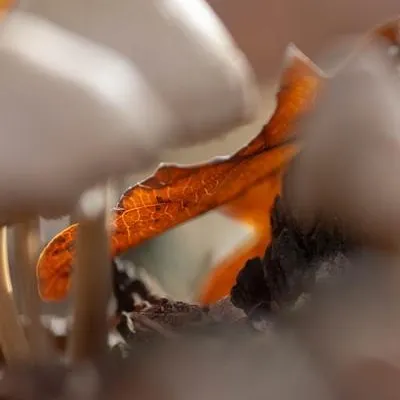 20181118 IMG 0460 Kopie