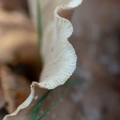 20181118 IMG 0474 Kopie