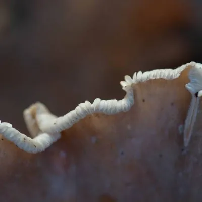 20181118 img 0475 kopie