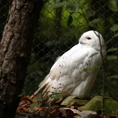 2019 10 20 Anholter Schweiz Isselburg 09 web