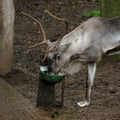 2019 10 20 Anholter Schweiz Isselburg 10 web