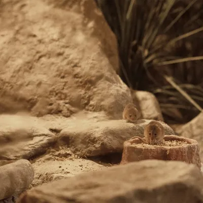 2019 10 20 Anholter Schweiz Isselburg 20 web