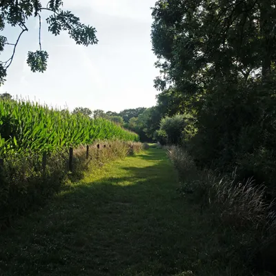 2020 07 26 DSC 1512 bew01L02 Voorst BeekzichtIJssel