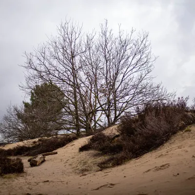 20210314 IMG 0026 2 scaled