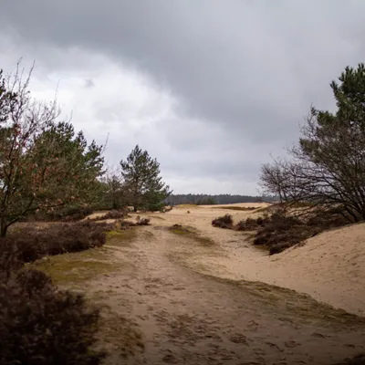 20210314 IMG 0028 2 scaled