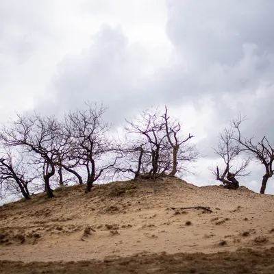 20210314 IMG 0040 2 scaled