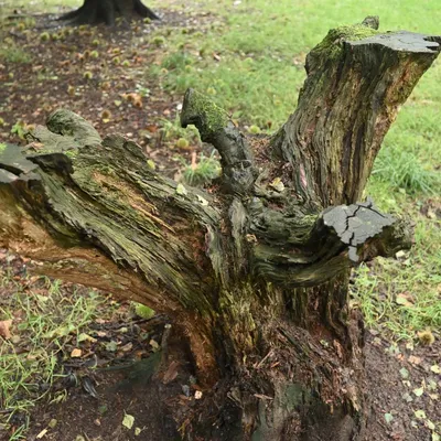 2023 09 17sep Rozendaalseveld GC NZ6II 14 30mm DSC 3627