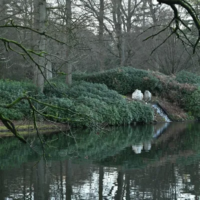 2023 12 17dec van1350u Apeldoorn HetLoo 4680
