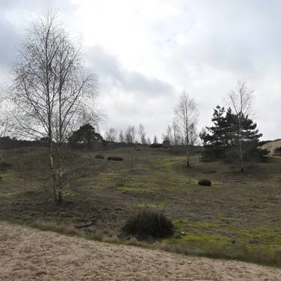 2024 02 25feb WekeromseZand Zont NZ6II 14 30mm GC30 DSC 5378