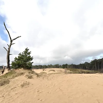 2024 02 25feb WekeromseZand Zont NZ6II 14 30mm GC30 DSC 5391