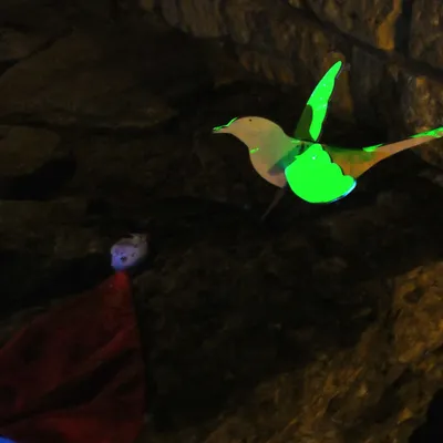 2025 01 03jan Orientales BergenDal NZ6III HC DSC 0858 005