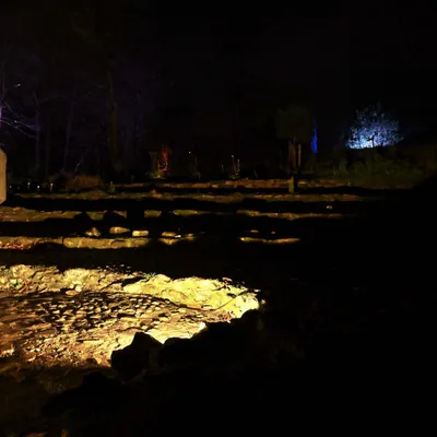 2025 01 03jan Orientales BergenDal NZ6III HC DSC 0865 007