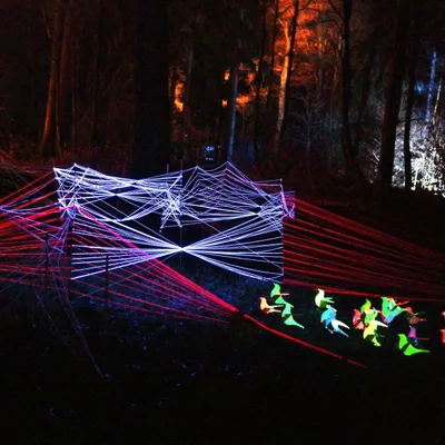 2025 01 03jan Orientales BergenDal NZ6III HC DSC 0872 009