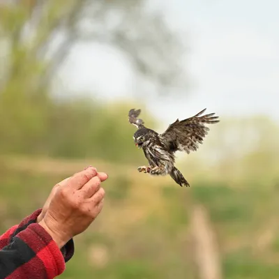 2025 04 13apr0930u Lunteren DeValk Zont GC DSC 3981 02