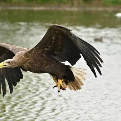 2025 04 13apr0930u Lunteren DeValk Zont GC DSC 4054 02