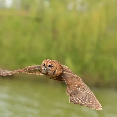 2025 04 13apr0930u Lunteren DeValk Zont GC DSC 4344 02