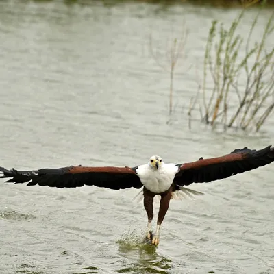 2025 04 13apr0930u Lunteren DeValk Zont GC DSC 4965 02