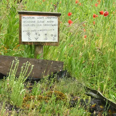 2025 05 25mei Arboretum Wageningen mo GK DSC 5467 02