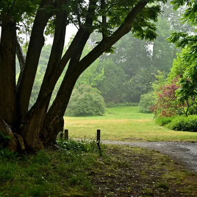 2025 05 25mei Arboretum Wageningen mo GK DSC 5535