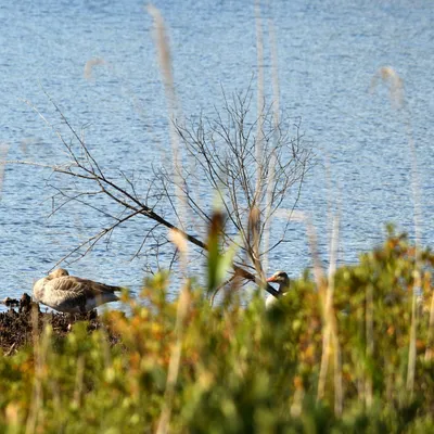 2025 08 24aug Belversven Oisterwijk Zont RAW ND500 GK30 DSC 4513