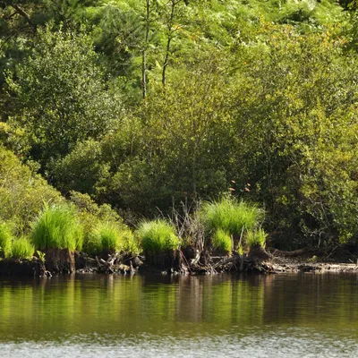2025 08 24aug Belversven Oisterwijk Zont RAW ND500 GK30 DSC 4523