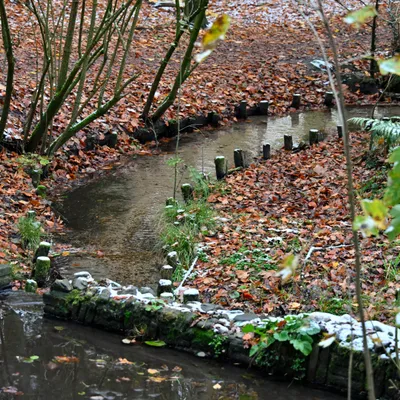 2025 11 23nov Oosterbeek Hemelsberg Ab 04