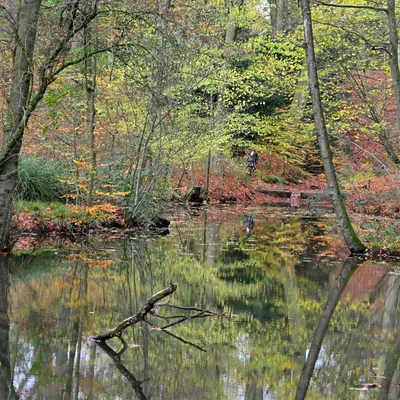 2025 11 23nov Oosterbeek Hemelsberg Ab 09