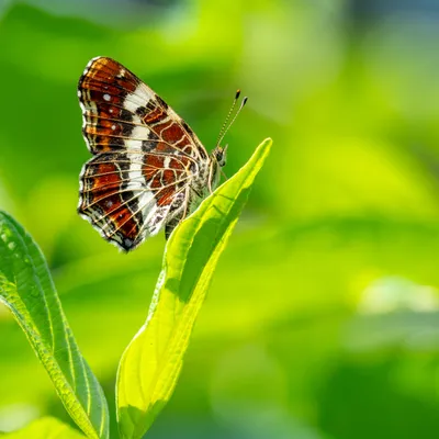 30179D2A 1615 4C3D 836E 0BDB1D2468EE