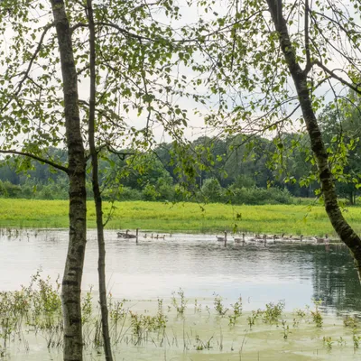 41DE10A2 0CD6 4104 94D9 D727C05D8817