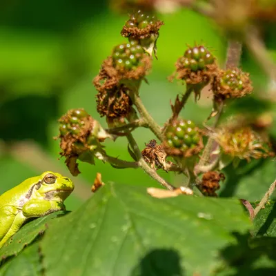 4FACF370 5C0C 463B AFB7 ED8936C2AD94