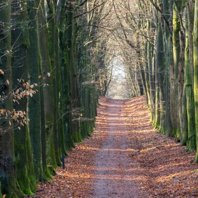 5AD4F462 CCB3 4A78 AF6A A8E8871B81A2