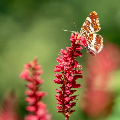 636D40DF 8D06 43EF 95D6 853FAF60A559